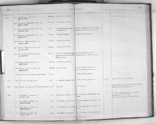 Pileolaria pocillator Vine, 1977 - Zoology Accessions Register: Polychaeta: 1967 - 1989: page 111