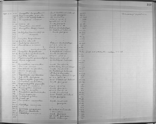 Polyodontes mortenseni Monro, 1928 - Zoology Accessions Register: Annelida & Echinoderms: 1924 - 1936: page 109