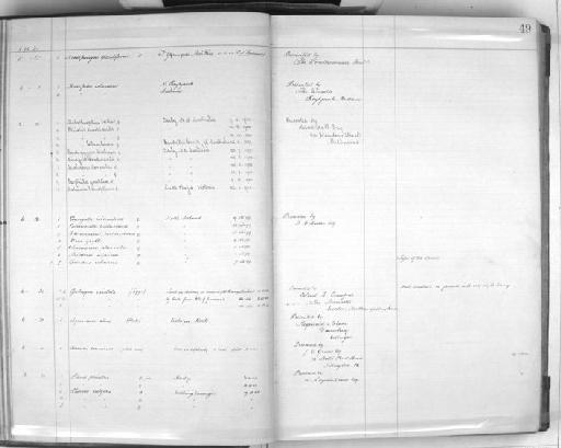 Turdus coburni Sharpe, 1901 - Zoology Accessions Register: Aves (Skins): 1902 - 1904: page 49