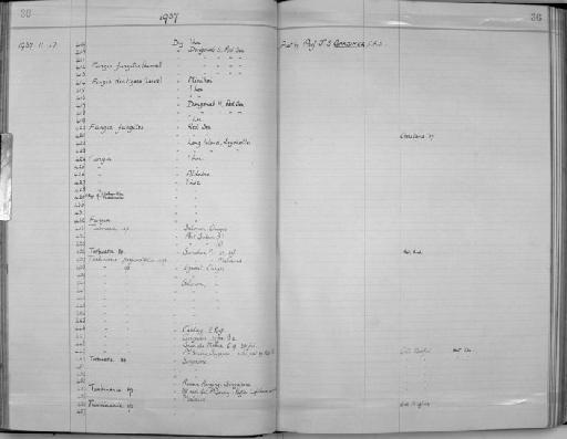 Turbinaria profundifolia - Zoology Accessions Register: Coelenterata: 1934 - 1951: page 36