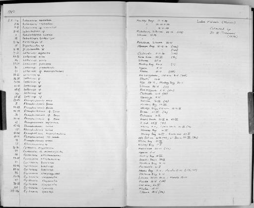 Lethrinops argentea - Zoology Accessions Register: Fishes: 1986 - 1994: page 2