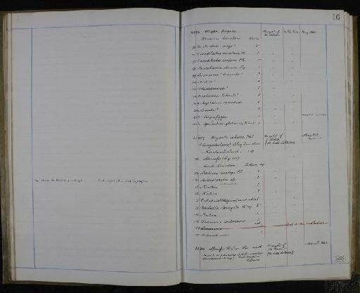 Productus tessellatus de Koninck - NHM-UK_P_DF118_02_02_0033