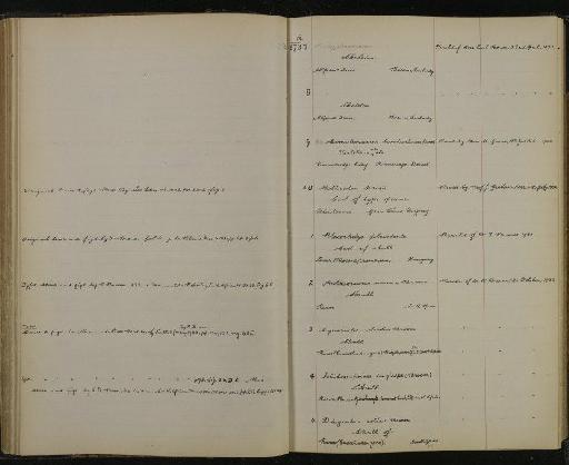 Lambis arthritica Röding, 1798 - NHM-UK_P_DF118_03_23_0127