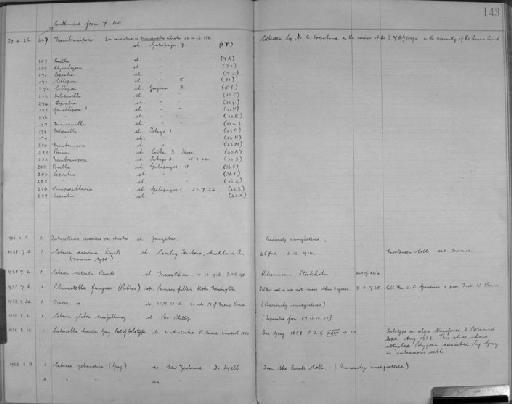 Caberea zelandica (Gray, 1843) - Zoology Accessions Register: Bryozoa: 1922 - 1949: page 143