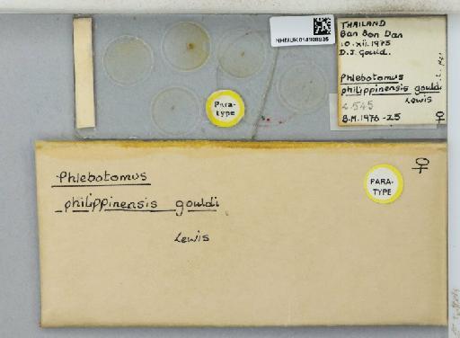 Phlebotomus (Euphlebotomus) philippinensis gouldi Lewis - 014908935_811454_1329570_157665_Type