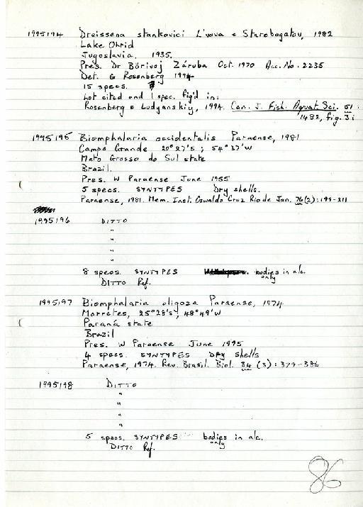 Biomphalaria occidentalis Paraense, 1981 - Zoology Accessions Register: Mollusca: 1994 - 1997: page 86