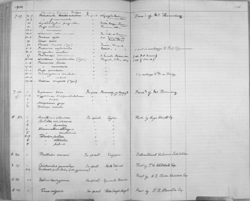 Balistes viridescens Bloch & Schneider, 1801 - Zoology Accessions Register: Reptiles & Fishes: 1893 - 1903: page 326