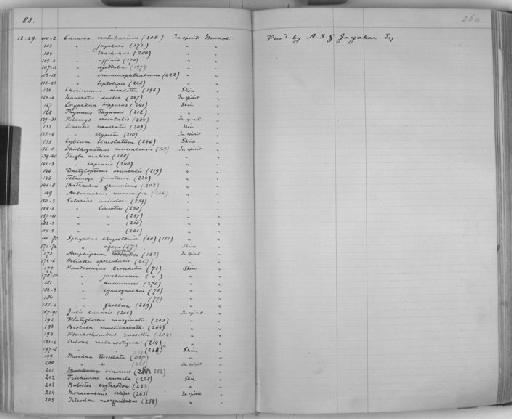 Stephanolepis diaspros Fraser-Brunner, 1940 - Zoology Accessions Register: Reptiles & Fishes: 1878 - 1892: page 264