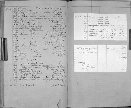 Pontonia tyrrhena - Zoology Accessions Register: Crustacea: 1876 - 1905: page 184