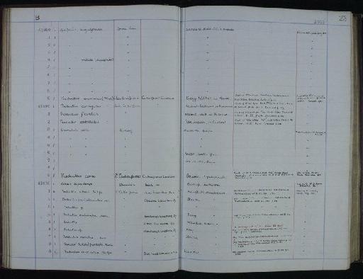 Productus corrugatus M'Coy - NHM-UK_P_DF118_05_06_0047