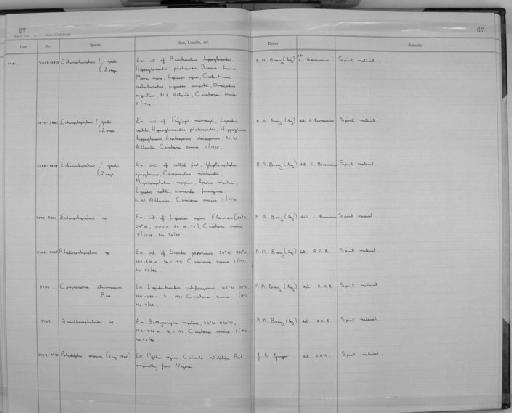 Polydelphis anoura Dujardin, 1845 - Zoology Accessions Register: Aschelminth N4: 1977 - 1989: page 67