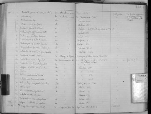 Conopeum seurati (Canu, 1928) - Zoology Accessions Register: Bryozoa: 1950 - 1970: page 133
