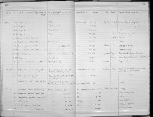 Halistemma transliratum Pugh & Youngbluth, 1988 - Zoology Accessions Register: Coelenterata: 1981 - 1992: page 138