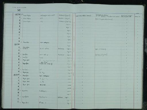 Equus ferus Boddaert,1785 - NHM-UK_P_DF118_03_41_0187