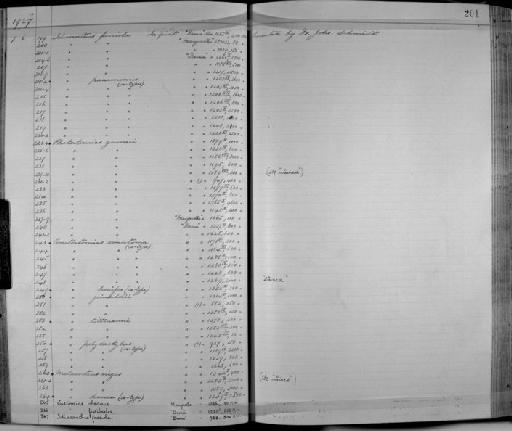 Idiacanthus fasciola Peters, 1877 - Zoology Accessions Register: Fishes: 1912 - 1936: page 201