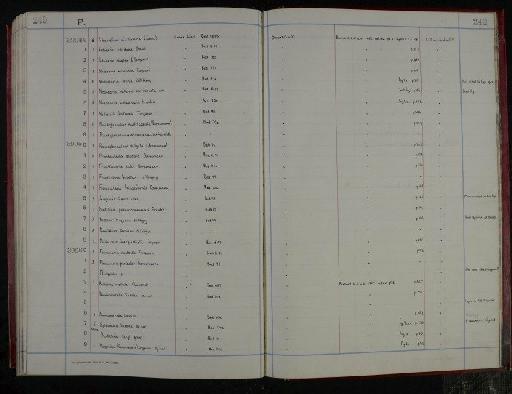 Problematica liassica (Jones) - NHM-UK_P_DF118_04_05_0503