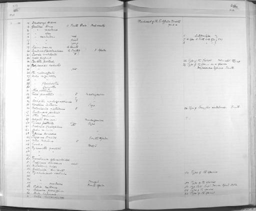 Turdoides jardineii jardinei - Zoology Accessions Register: Aves (Skins): 1837 -1853: page 276