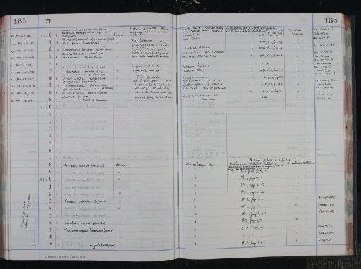 Nodosaria (Marginulina) raphanus falx - NHM-UK_P_DF118_04_16_0335