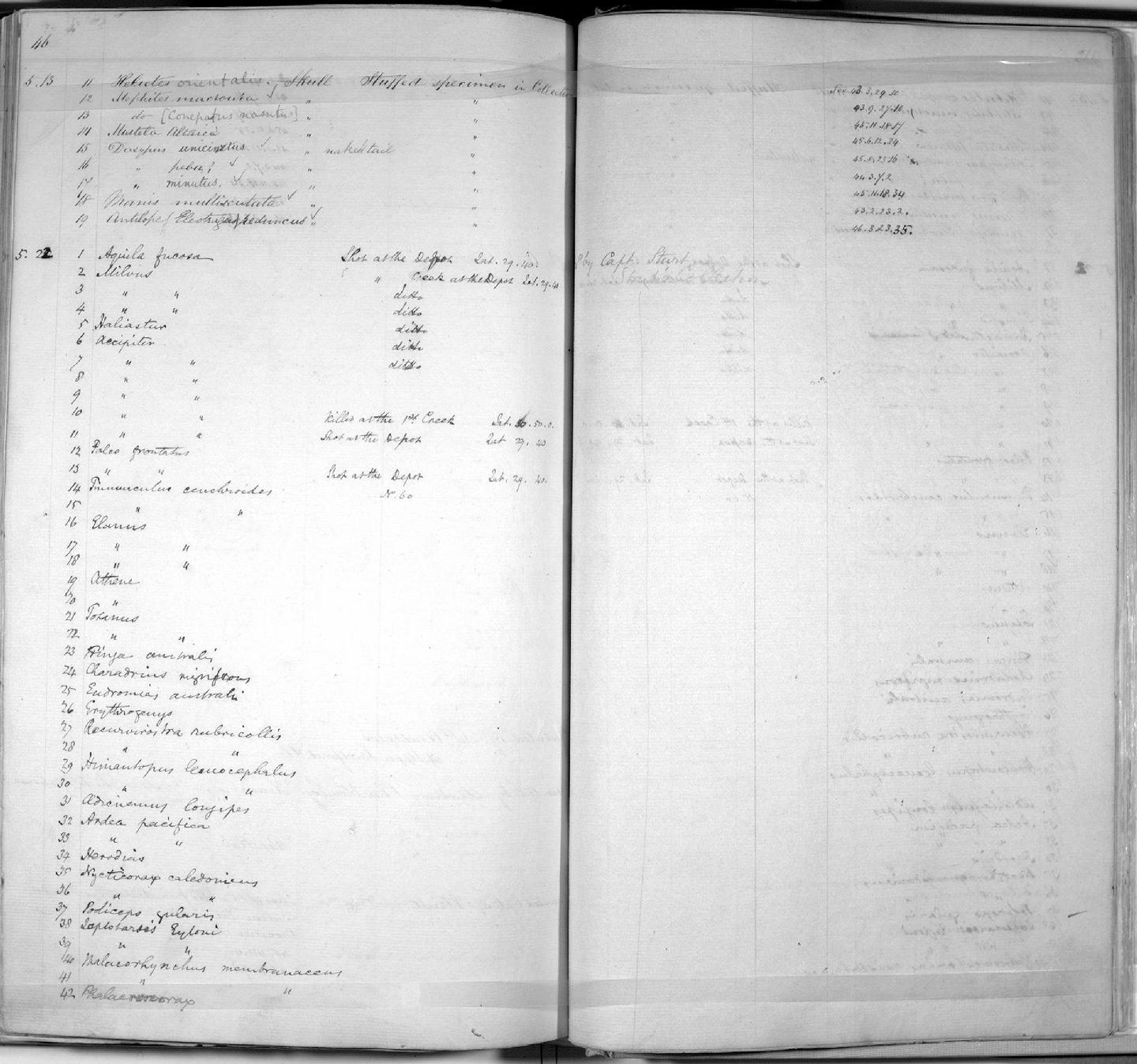 Zoology Accessions Register: Mammals: 1844 - 1846: page 211