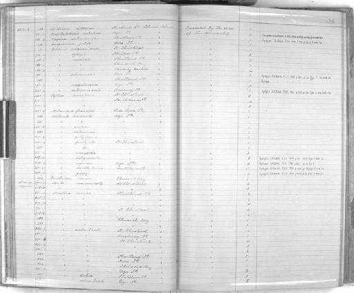 Melania subgradata Smith, 1885 - Zoology Accessions Register: Mollusca: 1884 - 1893: page 34