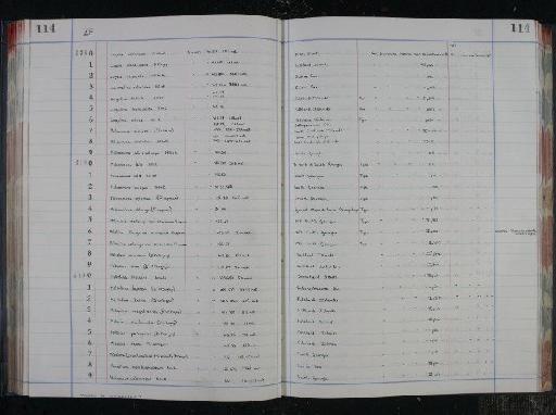 Miliolina oblonga var. arenacea Chapman, 1916 - NHM-UK_P_DF118_04_16_0233