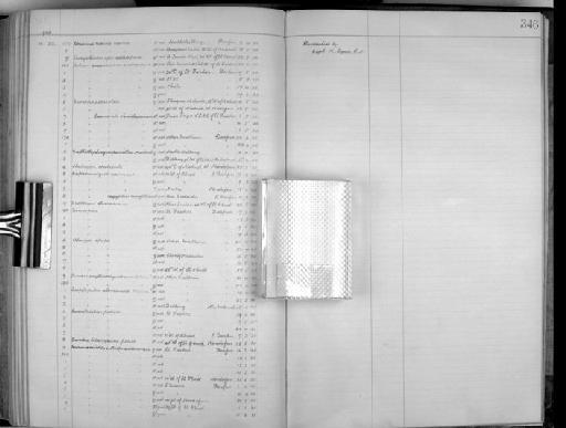 Myrmecocichla aethiops sudanensis Lynes, 1920 - Zoology Accessions Register: Aves (Skins): 1916 - 1920: page 346