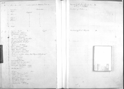 Sicydium antillarum Ogilvie-Grant, 1884 - Zoology Accessions Register: Mammals: 1850 - 1853: page 249