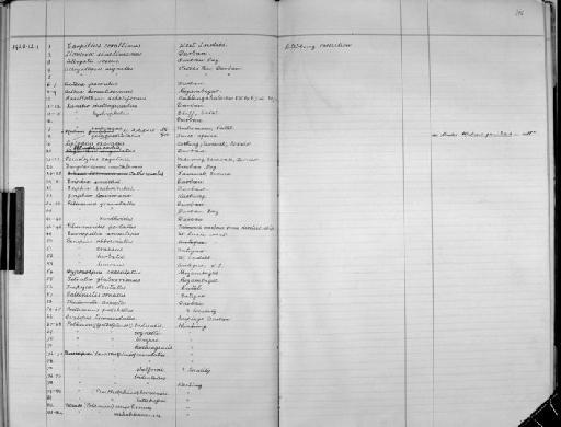 Pilumnus canthoides subsection Heterotremata section Eubrachyura - Zoology Accessions Register: Crustacea - Budde Lund Collection 1921 & Stebbing Collection 1928: page 35