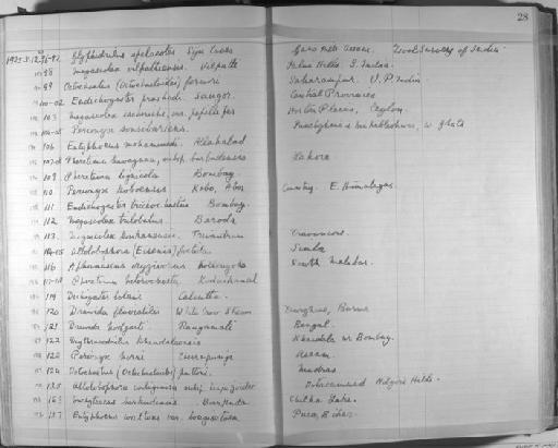 Megascolex vilpattiensis - Zoology Accessions Register: Annelida & Echinoderms: 1924 - 1936: page 28