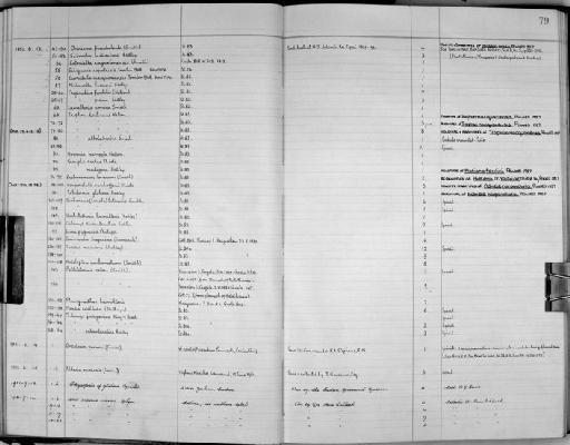 Phrixgnathus hamiltoni subterclass Tectipleura (Suter, 1896) - Zoology Accessions Register: Mollusca: 1938 - 1955: page 79