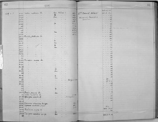 Desmonema chierchiana Vanhöffen, 1888 - Zoology Accessions Register: Coelenterata: 1934 - 1951: page 62