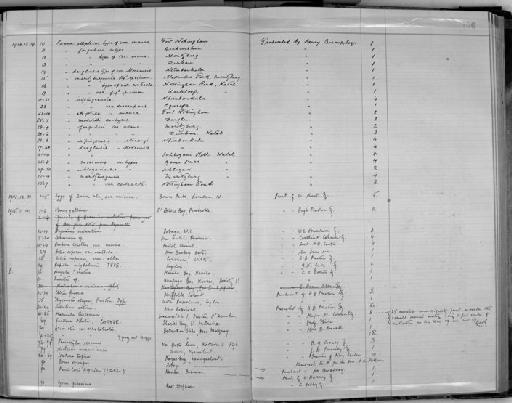 Chiton funerea - Zoology Accessions Register: Mollusca: 1911 - 1924: page 156