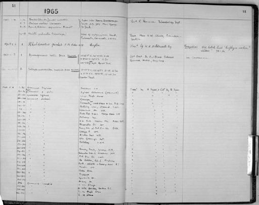 Hymenopenaeus halli Bruce, 1966 - Zoology Accessions Register: Crustacea: 1962 - 1969: page 51