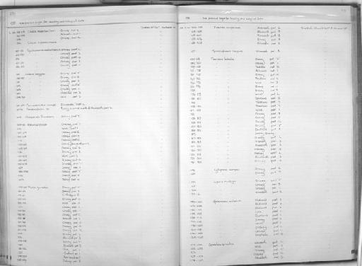 Chaparrudo flavescens de Buen, 1931 - Zoology Accessions Register: Fishes: 1971 - 1985: page 275