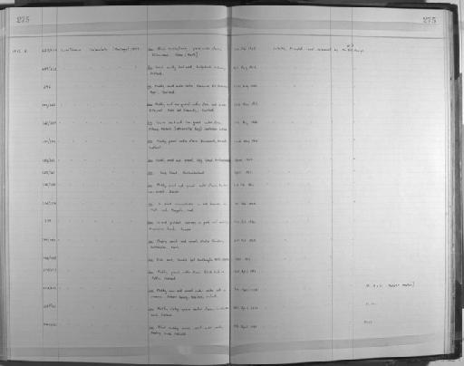 Cirriformia tentaculata (Montagu, 1808) - Zoology Accessions Register: Annelida: 1936 - 1970: page 275