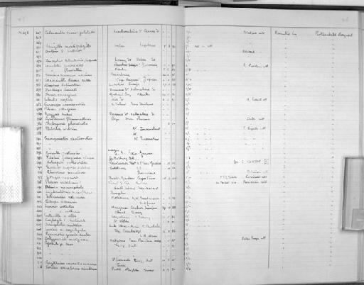 Ploceus capensis (Linnaeus, 1766) - Zoology Accessions Register: Aves (Nest): 1959 - : page 46