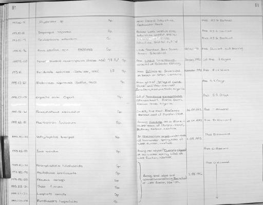 Paralabidocera antarctica (Thompson I.C., 1898) - Zoology Accessions Register: Crustacea (Entomostraca): 1982 - 1993: page 81