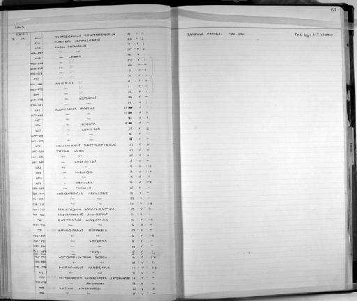 Trigla lastoviza Bonnaterre, 1788 - Zoology Accessions Register: Fishes: 1961 - 1971: page 63