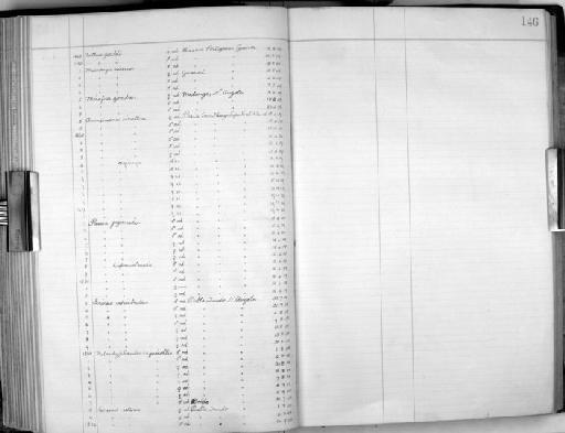 Ploceus nigricollis nigricollis - Zoology Accessions Register: Aves (Skins): 1909 - 1911: page 146