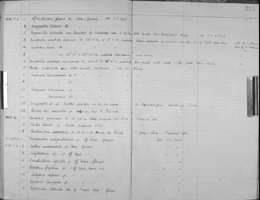 Discoporella umbellata (Defrance, 1823) - Zoology Accessions Register: Bryozoa: 1950 - 1970: page 215