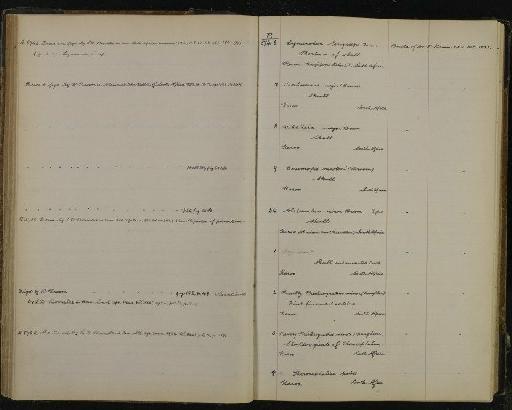 Therocephalia Broom, 1903 - NHM-UK_P_DF118_03_23_0129