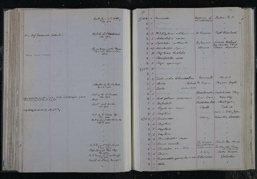 Holoptychius nobilissimus Agassiz, 1839 - NHM-UK_P_DF118_03_10_0169