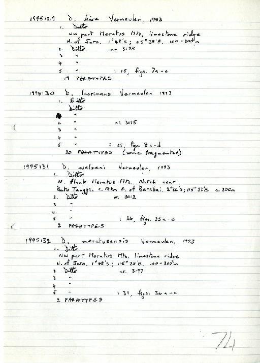 Diplommatina lacrimans Vermeulen, 1993 - Zoology Accessions Register: Mollusca: 1994 - 1997: page 74