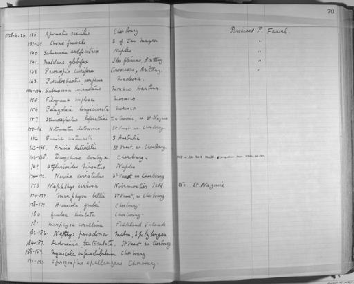 Aricia latreillii Audouin and Milne Edwards - Zoology Accessions Register: Annelida & Echinoderms: 1924 - 1936: page 70