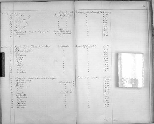 Cerithium - Zoology Accessions Register: Mollusca: 1857 - 1860: page 82