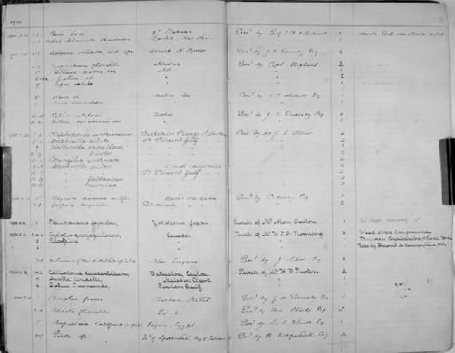 Ampullaria kordofana - Zoology Accessions Register: Mollusca: 1900 - 1905: page 1