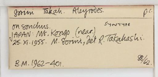 Aleyrodes sorini Takahashi, 1958 - 013479941_additional