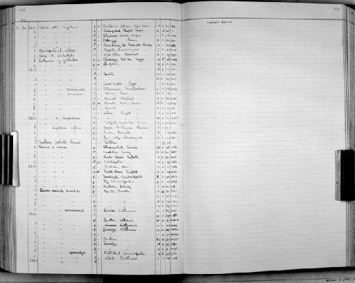 Corvus monedula soemmerringii (J.G. Fischer, 1811) - Bird Group Collector Register: Aves - Witherby Collection & Ticehurst Collection: 1934 - 1941: page 255