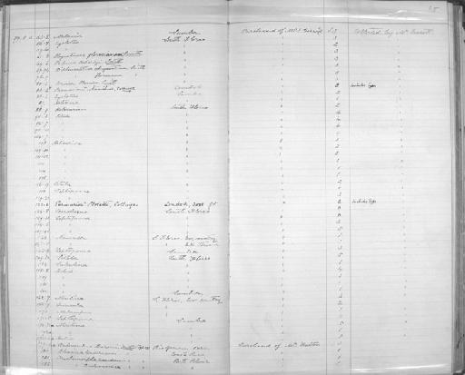 Parmarion intermedium subterclass Tectipleura Collinge, 1897 - Zoology Accessions Register: Mollusca: 1894 - 1899: page 65