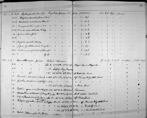 Lepidasthenia interrupta Marenzeller - Zoology Accessions Register: Annelida: 1936 - 1970: page 49